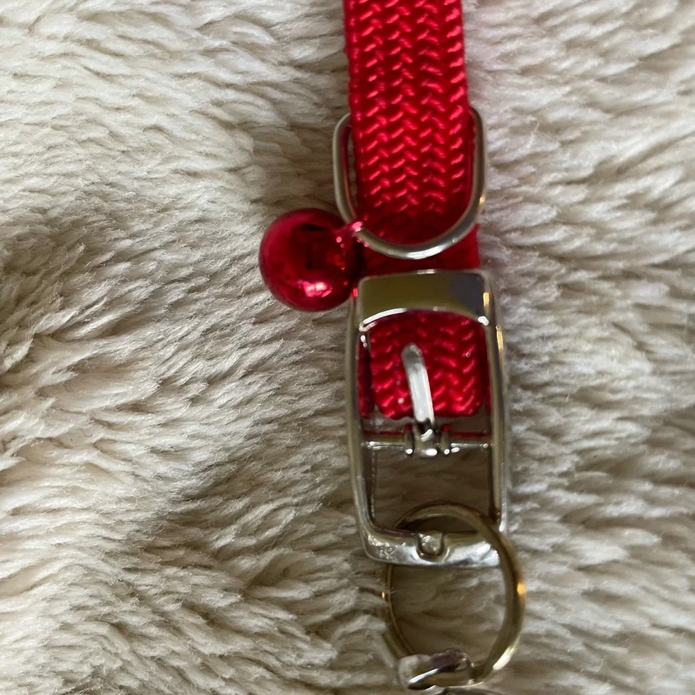 Cat pet collar with clear pendant, 13” chain. Beautiful Pendant can be detached.